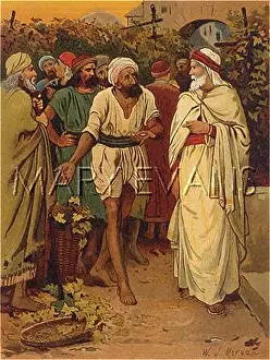 Parables: LABOURERS IN VINEYARD