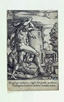 1502: The labours of Hercules