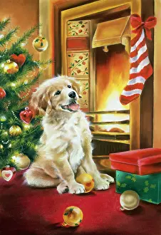 Fireside: Labrador by Fireside ? with Christmas tree