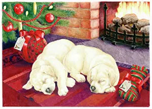 Labradors: Two Labrador Puppies