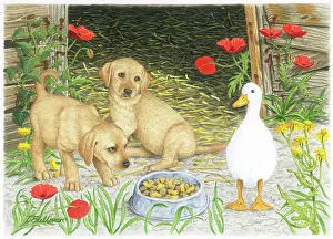 Gosling: Two Labrador puppies and a gosling