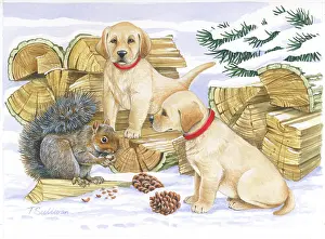 Cones: Two Labrador Puppies with Grey Squirrel in snow