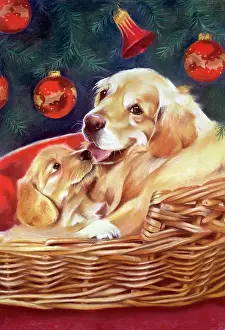 Baubles: Labrador and Puppy ? under Christmas tree