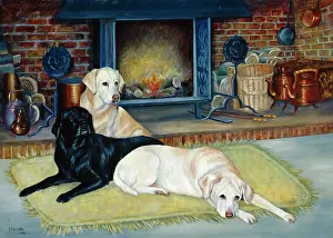 Hanrahan: Labradors in front of fireplace