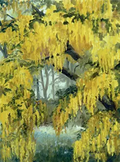 Elvin: Through the Laburnum