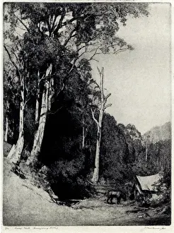 Friedensen: Lacey's Creek