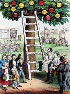 Speculations: The Ladder of Fortune