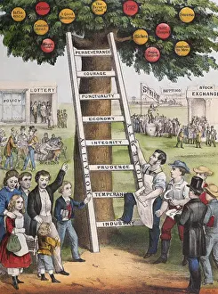 Rungs: The Ladder of Fortune