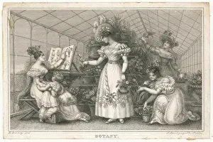 Consulting: Ladies in a conservatory