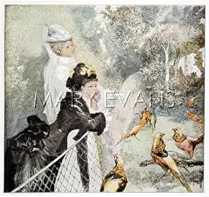Realise: LADIES GAZE AT BIRDS