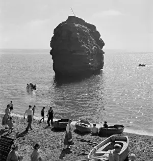 Ladram: Ladram Rock, Devon