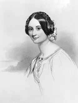 Vane: LADY ADELAIDE LAW