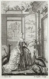 Aviary: LADY IN AVIARY