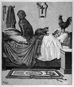 Suffocated: LADY IN BED WITH BEASTS
