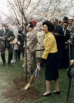 Beatification: Lady Bird Johnson planting a tree during ?