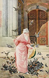 Modernisation: Lady feeding the pigeons - Constantinople, Turkey