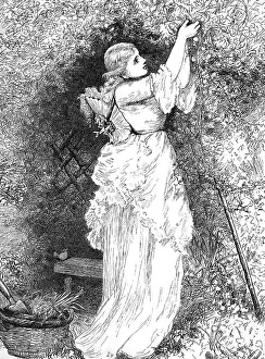 Polonaise: Lady Gardener 1870s