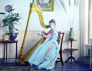 Harpist: Lady harpist