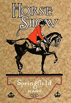 Buss: Lady on Show Horse