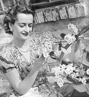 Latham: Lady Patricia Latham