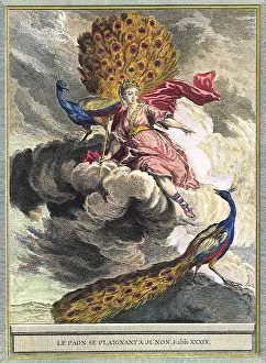 Juno: Lady, Two Peacocks