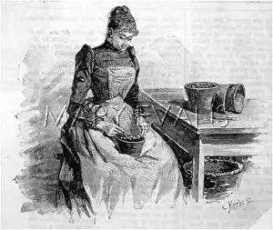 Plantpot: Lady potting a plant