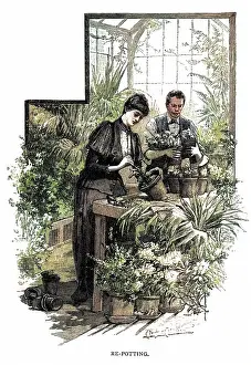 Potting: Lady repotting a plant