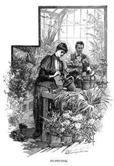 Potting: Lady repotting a plant