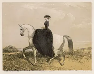 Accomplished: LADY RIDER - THE WALK
