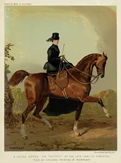 Sidesaddle: Lady Riding Sidesaddle