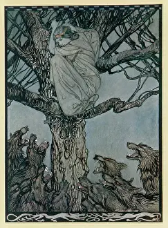 Wolves: Lady takes to the trees to avoid being eaten by wolves