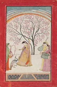 Shisha: Lady on terrace grasping tree branch
