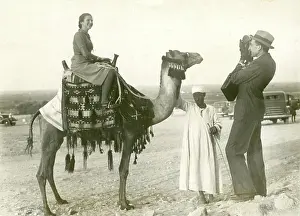 Honeymoon: Lady Tourist on camel - Giza, Egypt
