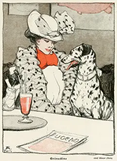 Matched: LADY W/ DALMATIAN CAFE