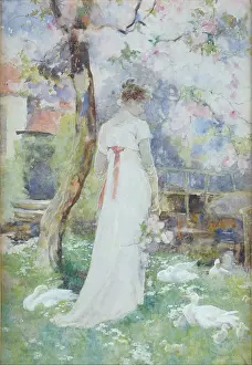 Woodlock: Lady in white dress under tree