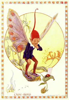 Printedcopy: Ladybird