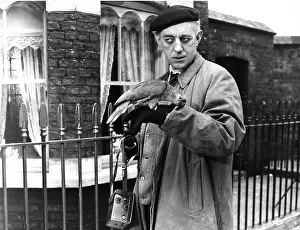 Ladykillers: THE LADYKILLERS