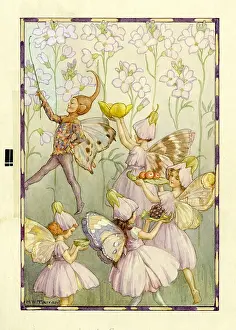 Ladys: Lady's Smock Fairies
