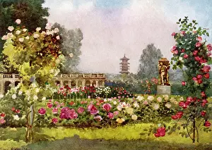 Orangery: LAEKEN/ORANGERY 1916