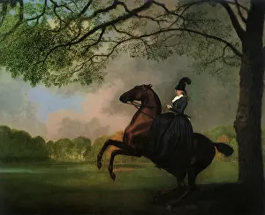 Laetitia: Laetitia, Lady Lade, by Stubbs