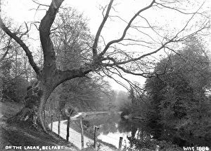 Lagan: On the Lagan, Belfast