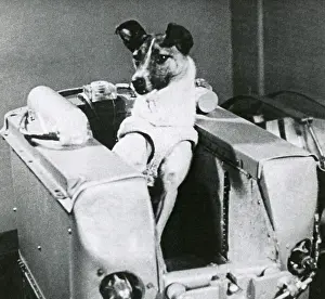 Sputnik: Laika