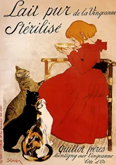 Theophile: Lait Pur Sterilise