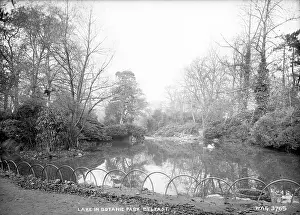 Botanic: Lake in Botanic Park, Belfast