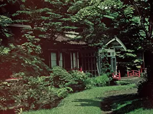Anne Burton: Lake Chuzenji - Japan