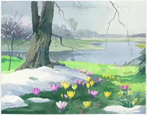 Breath: Lake with crocuses and snow in the foreground
