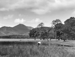 Aptly: LAKE DERWENTWATER