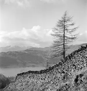 Fells: Lake District