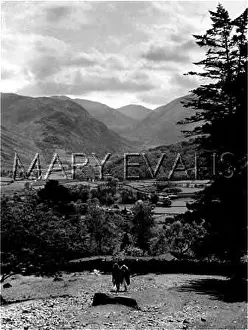 Splendour: LAKE DISTRICT/BORROWDALE