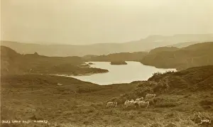 Judges: Lake Elsi, North Wales